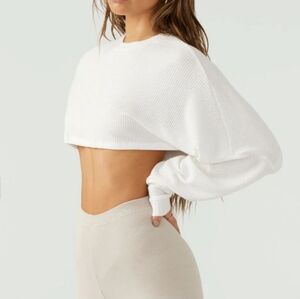 Joah Brown White Ribbed Crop Top